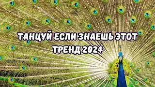 💗ТАНЦУЙ ЕСЛИ ЗНАЕШЬ ЭТОТ ТРЕНД 2024💗