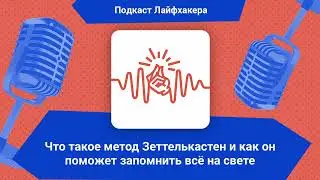 Что такое метод «Зеттелькастен» и как он поможет запомнить всё на свете | Подкаст Лайфхакера