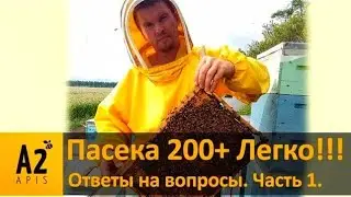 Vlad Belozerov #1: Пасека 200+Легко!!! Нюансы технологии