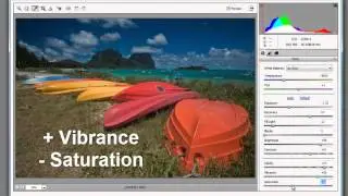 Photoshop Elements: More about Adobe Camera Raw File Format