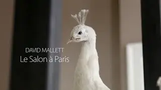 David Mallett: Le Salon à Paris