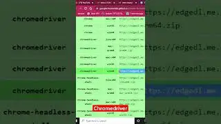 Chrome Driver Download #short #shorts
