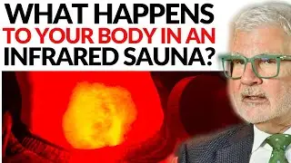 THIS is What Happens To Your Body in an Infrared Sauna | Dr. Steven Gundry