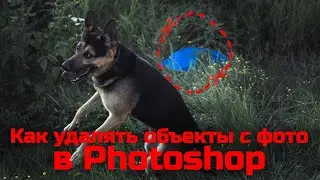 Как удалять объекты с фото | Photoshop Tutorial