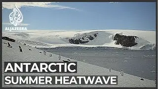 Antarctica: Second record-breaking hot day in a week