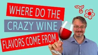 How to taste wine and enjoy wine | Where do the crazy wine flavors come from?