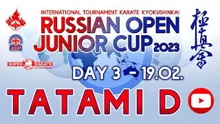 «Russian Open Junior Cup - 2023». ТАТАМИ D (3 день)