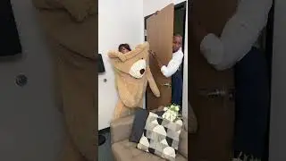 Bride transform into a bear to hide from her groom 