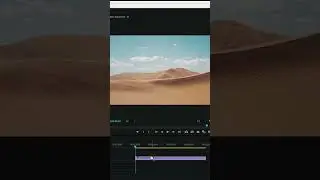 Stop Motion in premiere pro