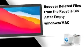 How to Recover Deleted Files from the Recycle Bin After Empty