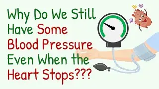 Mean Circulatory Filling Pressure & Mean Systemic Filling Pressure | Venous Return Curve