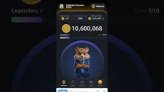 Toncoin - хомяк Hamster Kombat - ин комбо будааст 