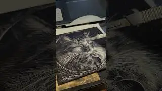 How to scratchboard with Renfio glitter #catart #scratchboard #cutecats  #realisticdrawing