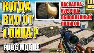 КОГДА ВЫЙДЕТ ВИД ОТ 1 ЛИЦА? ГДЕ НАЙТИ КУРОЧКУ В PUBG MOBILE| МОБИЛЬНЫЙ PUBG