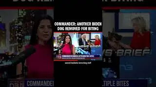 Commander: Another Biden Dog Removed for Biting