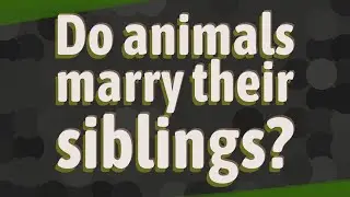 Do animals marry their siblings?