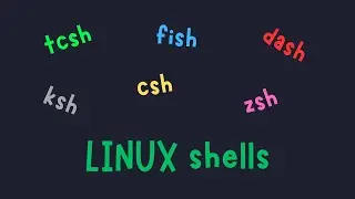 Which Linux shell am I using?