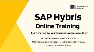 SAP Hybris AG Online training Comprehensive guideline by a professional trainer with Proexcellency