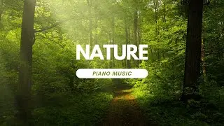 Relax with Free Copyright Piano Music for Stress Relief and Meditation | Soothing Instrumental Music