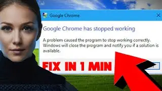 How to Fix Google Chrome Has Stopped Working on Windows 10/11