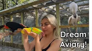 OUR DREAM AVIARY IS FINISHED!