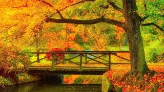 Beautiful Relaxing Hymns, Peaceful Instrumental Music 4k, 