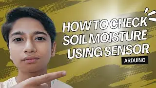 How to check moisture of your plants in just 3 steps