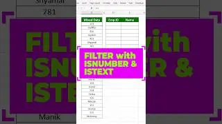 FILTER + ISNUMBER + ISTEXT ️‍Formula in Excel ️‍🔥