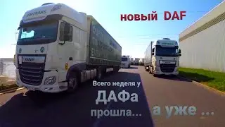 Устраняю проблему ... Это капец | DAF Xf новый | Дальнобой по Европе