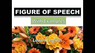 Lesson 15: English- Figure Of Speech With Examples