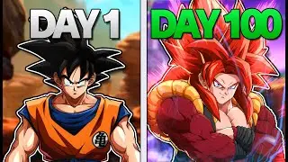 I played 100 days of  Budokai Tenkaichi 3