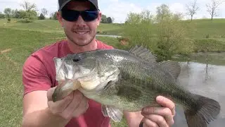 POND BASS FISHING (CATCHING GIANTS)