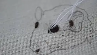 How to Embroider Eyes. Thread Painting Animal Portrait