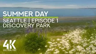 Soothing Waves Sounds for Stress Relief - 4K Beautiful Summer Day in Discovery Park of Seattle - # 1