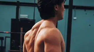 Back, Triceps & Rear Delts Workout (New Training Block)