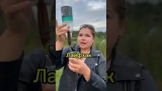 Лайфхак на случай, если замучила жажда в лесу..💁🏼‍♀️💧🤔