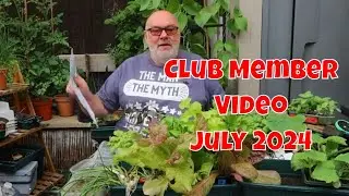 Club Member July 2024