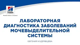 Вебинар на тему: «Лабораторная диагностика заболеваний мочевыделительной системы кошек и собак».