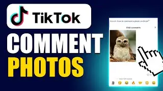 How To Comment Photo In TikTok