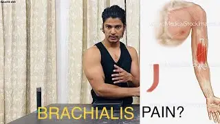 HOW TO RECOVER FROM BRACHIALIS PAIN ?