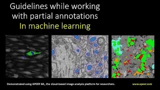 Guidelines while working with partial annotations in deep learning