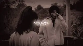 One Love ( Slowed + Reverb ) - Shubh