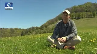 Eco@Africa: Ingo Arndt Displays Fascinating Landscape Pictures