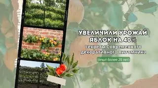 😱 Увеличили урожай яблок на 40% секреты Современного декоративного питомника (опыт более 20 лет)