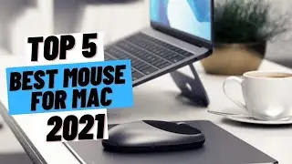 TOP 5 Best Mouse for Mac (2021)