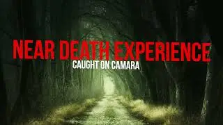 😱💀 Close Calls: Top 5 Near-Death Encounters Caught on Camera 💀😱