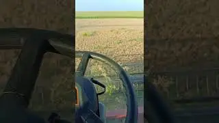 Автопилот в этой ситуации просто необходим. Поставили автопилот CHCnav на трёх комбайнах (часть 2)👌