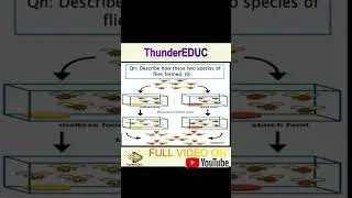 life sciences grade 12 speciation