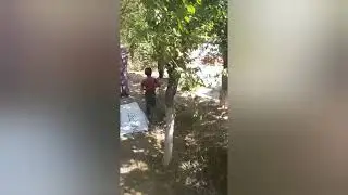 Кыргызстан баткен боз-адыр кара-токой айылындагы акыркы маалымат