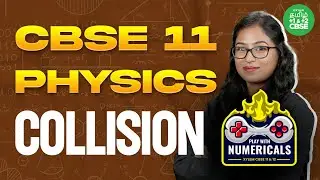 Play With Numericals: (COLLISION) | CBSE 11&12 Tamil | Shobika maam | Xylem Tamil